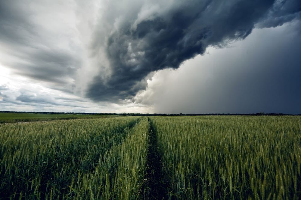 Storm clouds over grassy plains