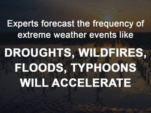Experts forecast the frequency of extreme weather events such as droughts, wildfires, floods and typhoons will accelerate.