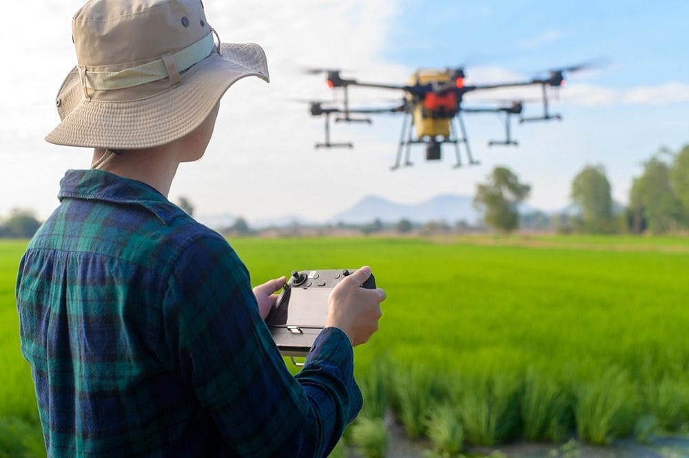 A young farmer controlling drone spraying fertilizer and pesticide over farmland