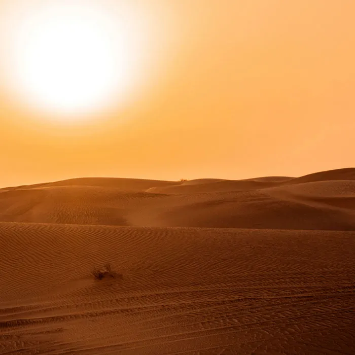 Desert dunes
